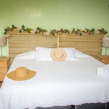 7 San Fernando, Bacalar Villa Jimmy מראה חיצוני תמונה